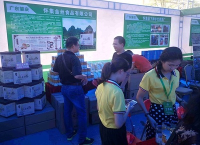 肇慶舉辦綠色農副產品集散基地投資環境推介會，助力農副產品銷售新篇章